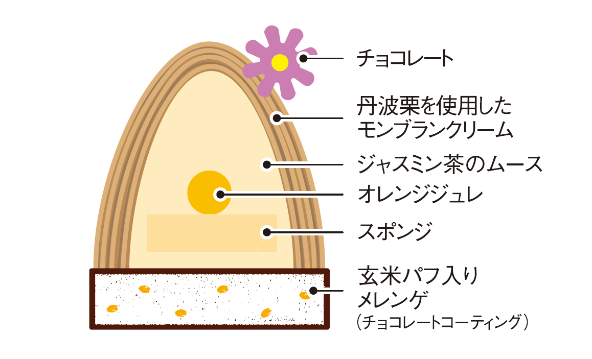 ジャスミン茶/断面図
