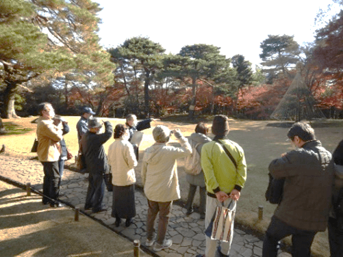 庭さんぽ(昨年の様子)
