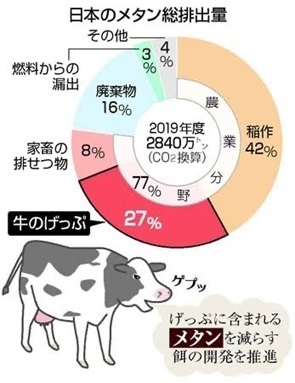 ＊2019年農水省の資料から