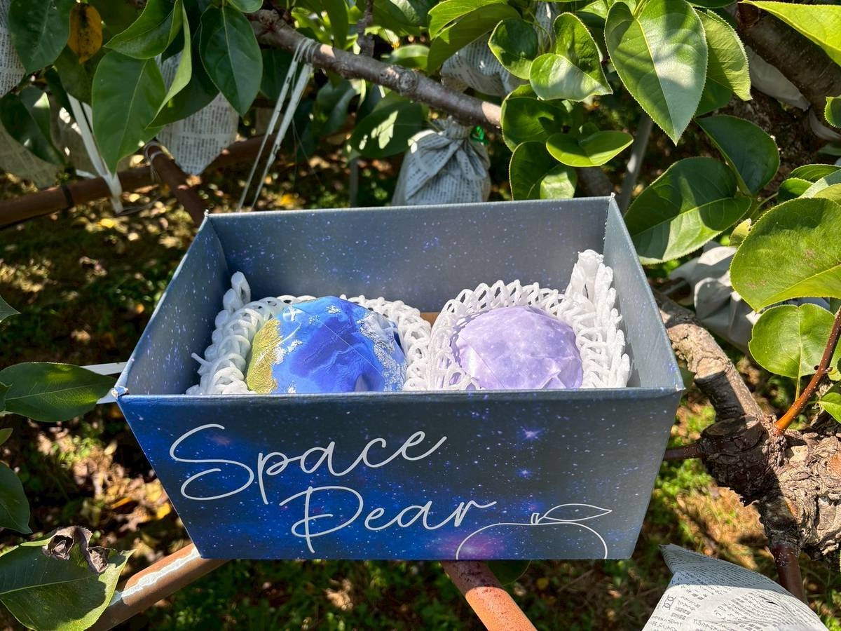 特別仕様のパッケージ(外箱:宇宙柄/内部包装:地球と月モチーフ)
