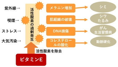 受験シーズンに向けてコラム公開！ 春の「ここ一番」はアーモンドでストレス対策＆血流改善！ アーモンドミルクの嬉しい効果を解説