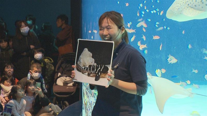 スタッフ　金丸 仁美さん