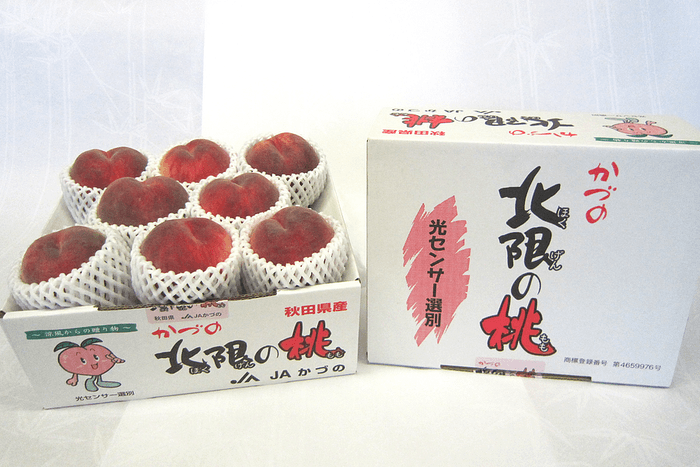 かづの北限の桃(川中島白桃)「秀」2.5kg(6~8玉)