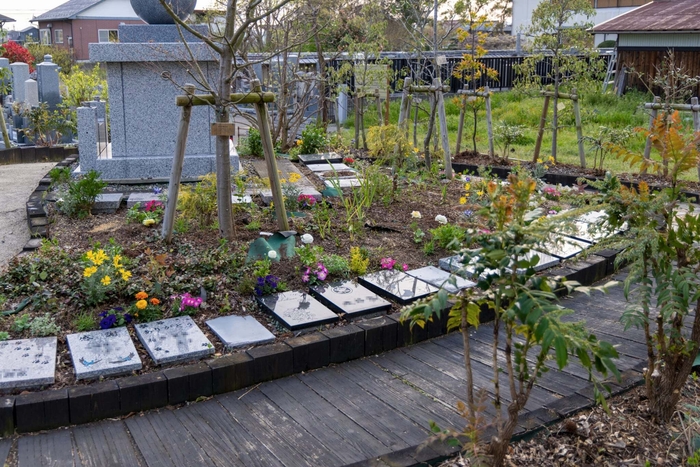 樹木葬 イメージ