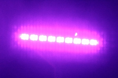 初開催!ブラックライトで宝探し