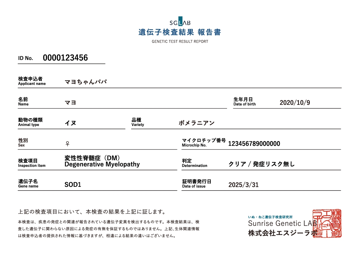 体質遺伝子検査結果報告 報告書イメージ
