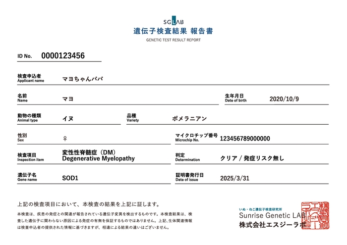 体質遺伝子検査結果報告 報告書イメージ