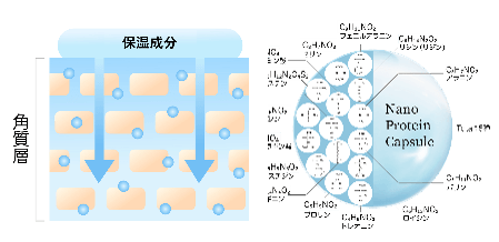乾燥肌へのアプローチ