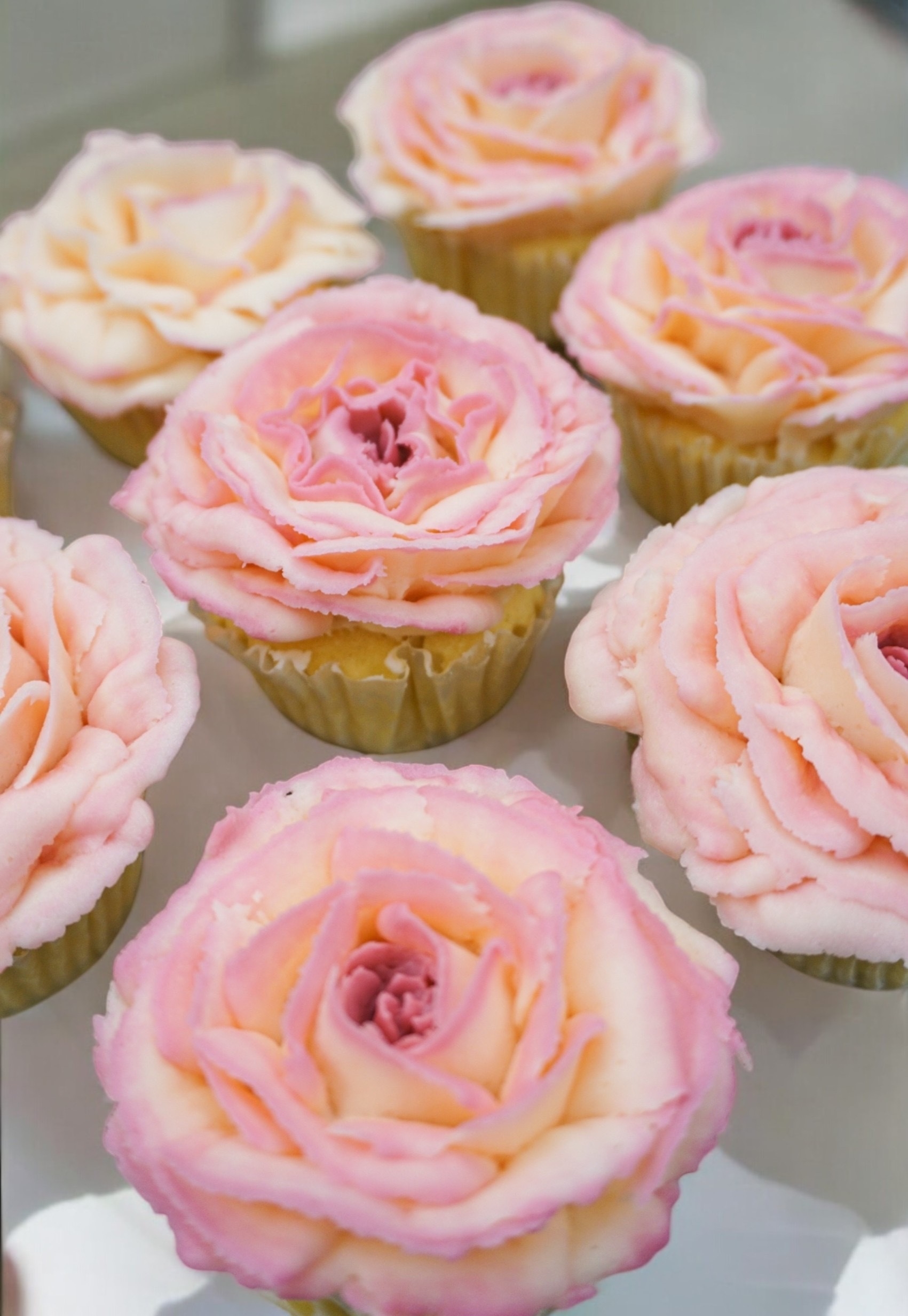 「Faina's CUPKEY ~彦根のバラ~」(4)