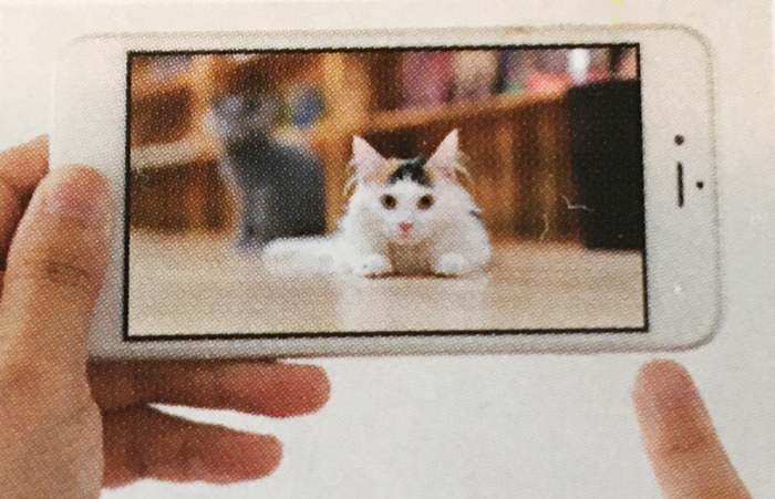 スマホで会場にリアル猫が出現!