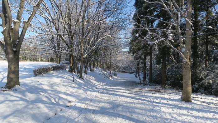 昨年開催時の園内の景色