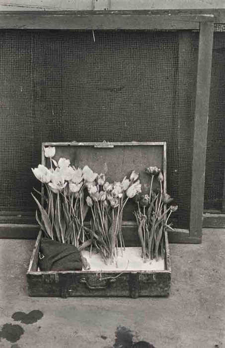 《パリ》1950年 Paris, 1950 (C) Robert Frank