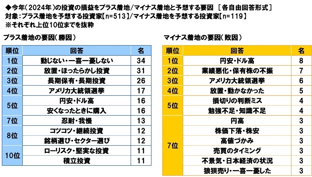今年(2024年)の投資の損益をプラス着地/マイナス着地と予想する要因