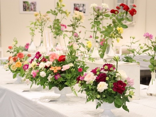 秋のバラ展(令和6年撮影)