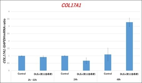 17型コラーゲンα1遺伝子誘導効果