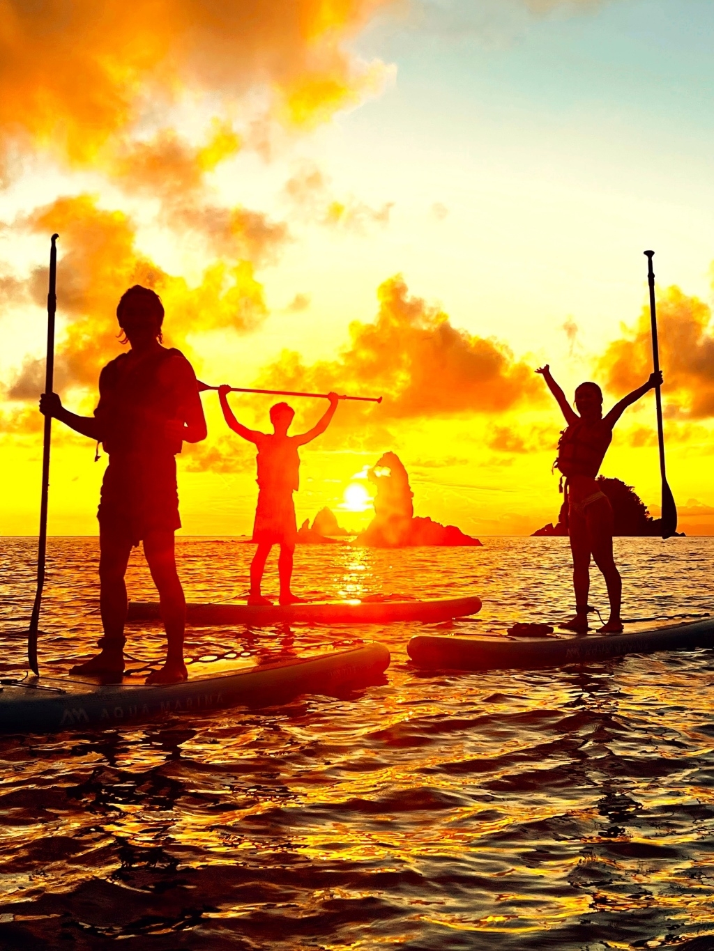 海底熟成ワイン引き揚げ SUP体験イメージ