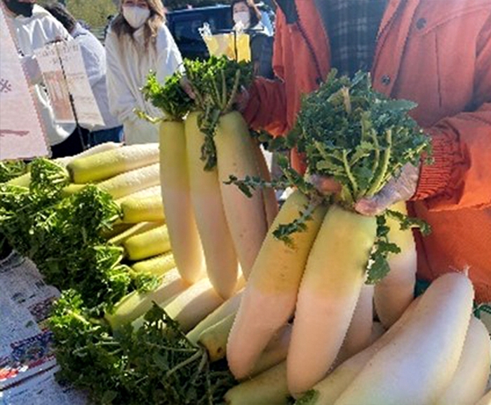 大根の葉っぱ両手掴み(3/1~計4回)