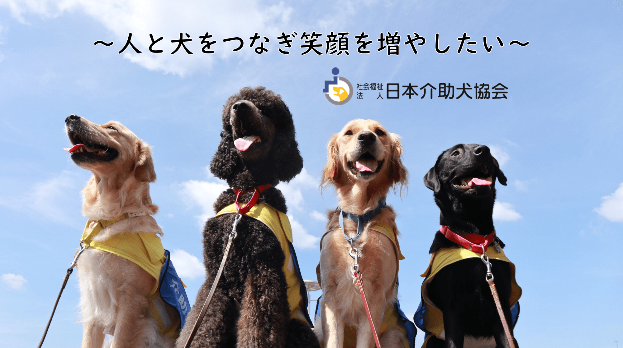 日本介助犬協会 ふるさと納税を活用したクラウドファンディング