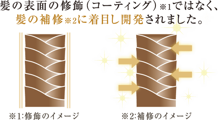 髪の補修_イメージ