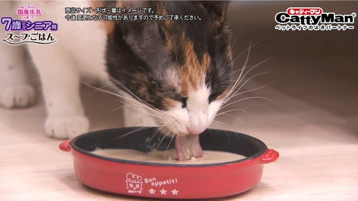 猫ちゃんの国産牛乳を使ったスープごはん シニア用 猫ちゃん食べるシーン