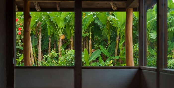 仲門の窓から見える芭蕉布