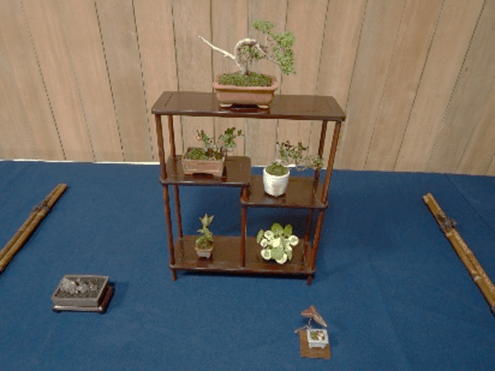 小品盆栽展(昨年の様子)