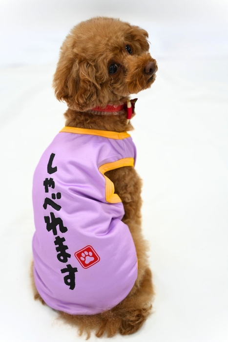 カプセルトイの新製品『うちの子かわいい! ドッグウェア』。着用イメージ