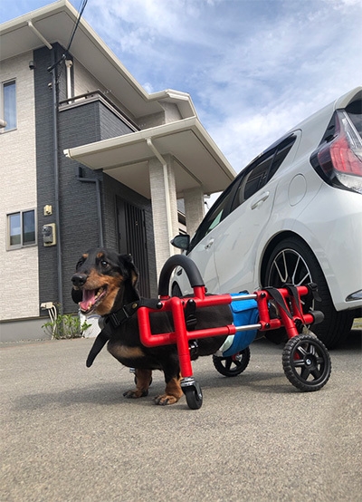 ポーズもきまっています!