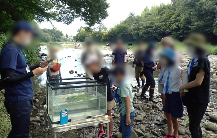 観察してどんなことに気がついた?