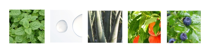 レモンバーム  スクワラン  アロエベラ  モモ葉  ビルベリー