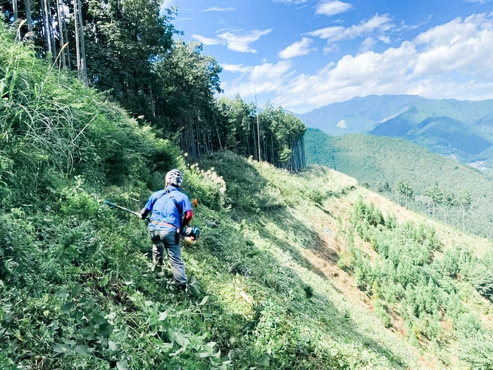 林業は、持続可能な森林を生み出す仕事です