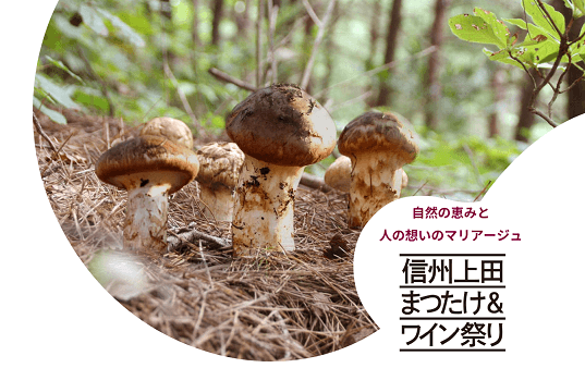 信州上田まつたけ＆ワイン祭り
