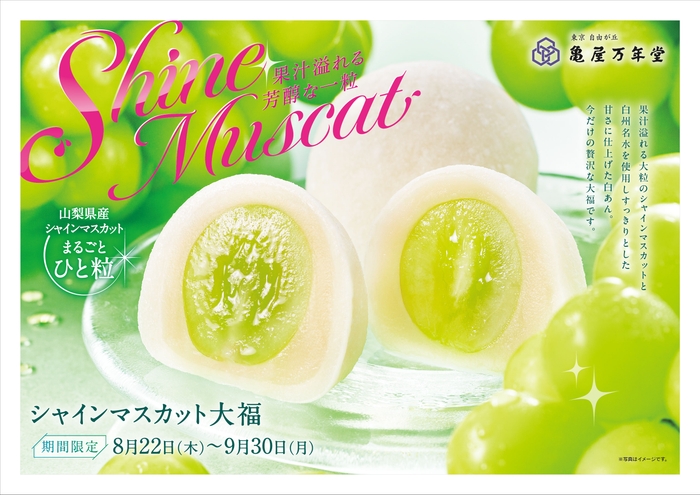 東急線ドア横ポスター