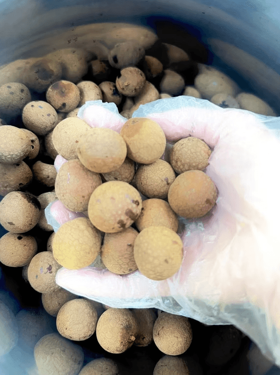 製品イメージ13