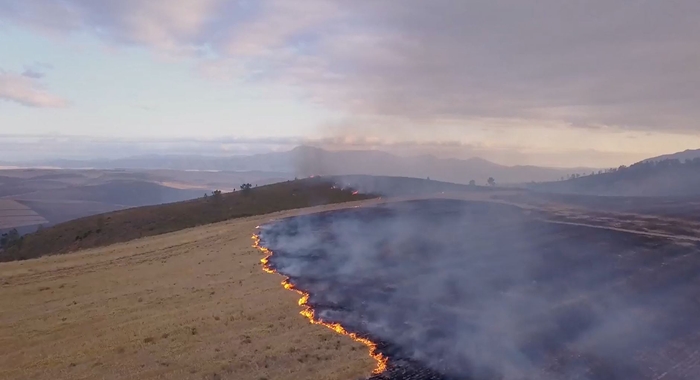© Anatomy of a Wildfire Pty Ltd 2019 All Rights Reserved. Licensed by ITV Studios Ltd