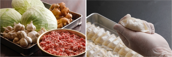 厳選した国産豚肉、国産野菜を使用/熟練した技術で餃子をつくります