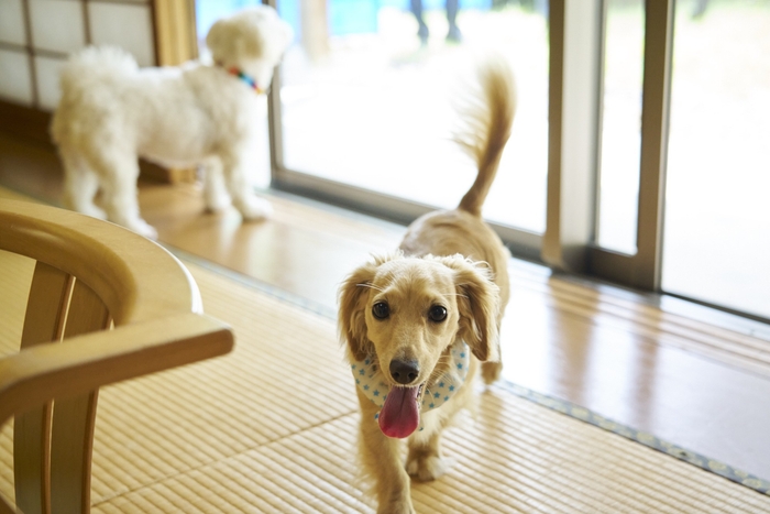 バリアフリーで安心