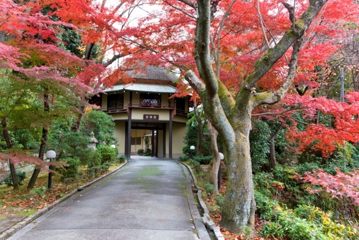 長寿門 紅葉イメージ