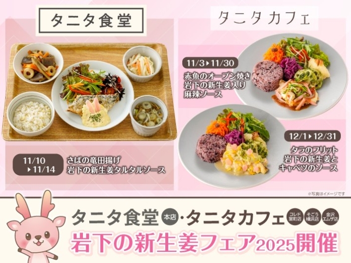 タニタ食堂本店とタニタカフェ3店舗で「岩下の新生姜フェア」開催