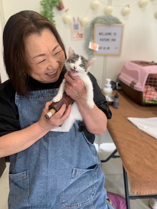 にゃんこのおきゅう