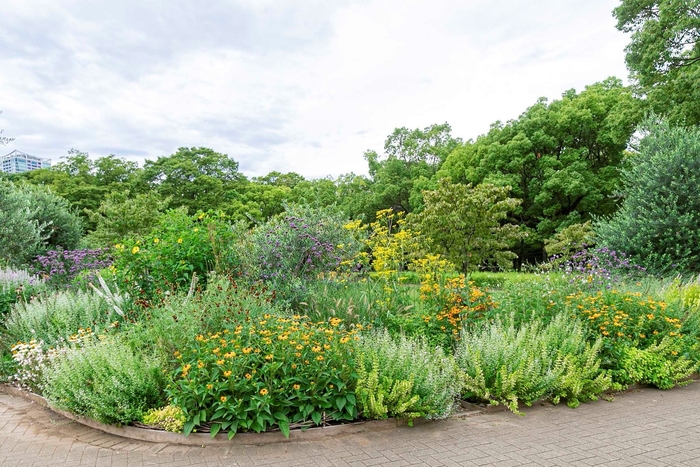 第1回代々木公園のグランプリガーデン