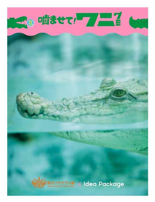 熱川バナナワニ園 購入特典ステッカー2