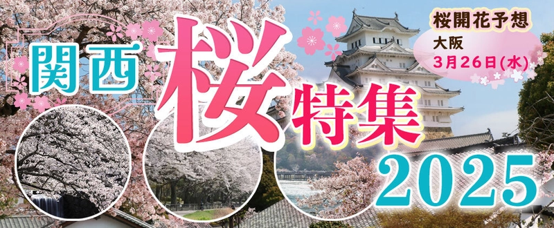 春限定！　 「大阪・大川さくらクルーズ＋選べるランチ」予約受付開始！