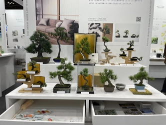 日本の職人が一から制作する本格的工芸盆栽 A-BONSAI(R)シリーズに2種の新商品が登場！ 「JinShari」・「Moyogi Light」を3月1日より販売開始