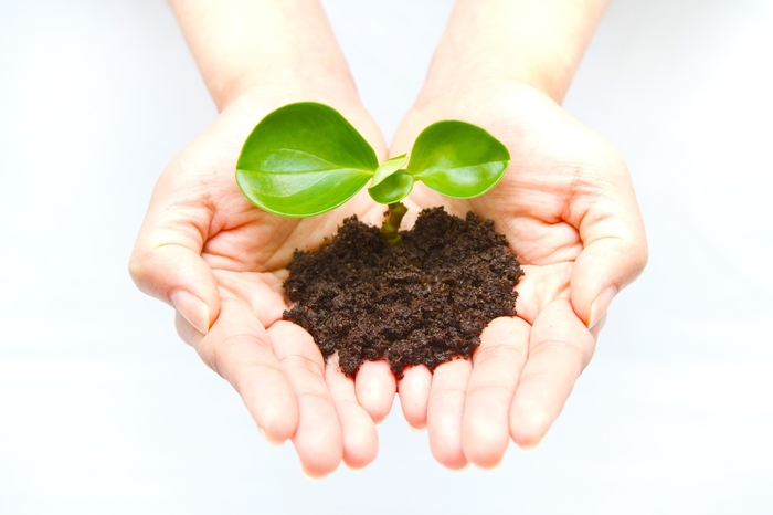 ※画像はイメージです フリー素材ぱくたそ(www.pakutaso.com)より