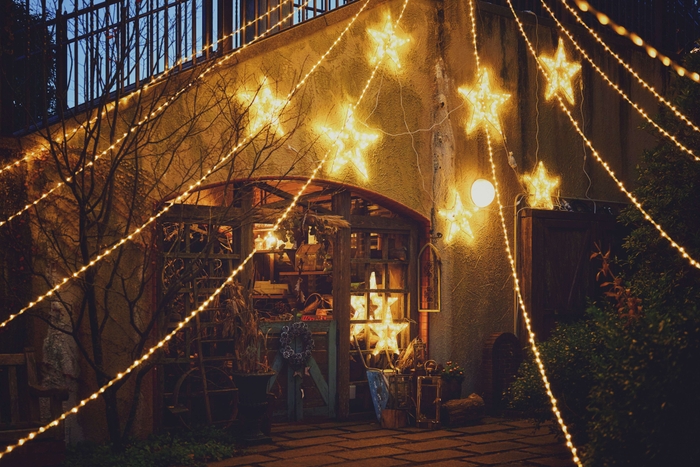 「裏庭に訪れたクリスマス」