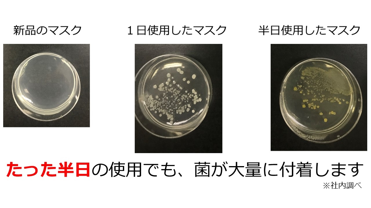 マスクに付着の菌について ポケスター