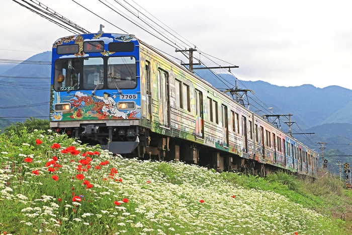 7500系車両 イメージ (フルラッピングトレイン:秩父三社トレイン)