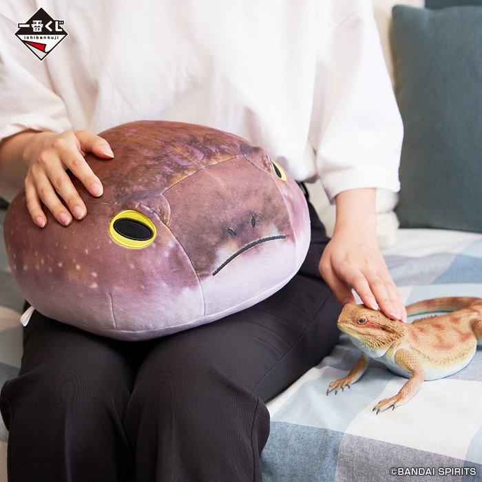 (右)A賞:フトアゴヒゲトカゲ フィギュア/(左)C賞:アメフクラガエルのおしりクッション(イメージ)