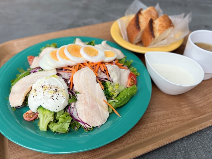 週替りサラダプレート ~塩ヨーグルトを添えて~ バケット or ライス